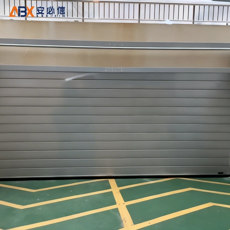 阿里地区雷达高速门